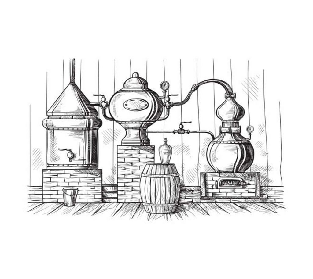 Gin