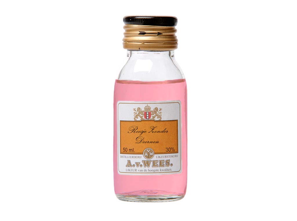 Rose without thorns – miniature